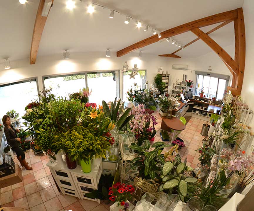 orchidee-fleuriste-pompes-funebres-haute-ariege-Tarascon-sur-Ariege-01