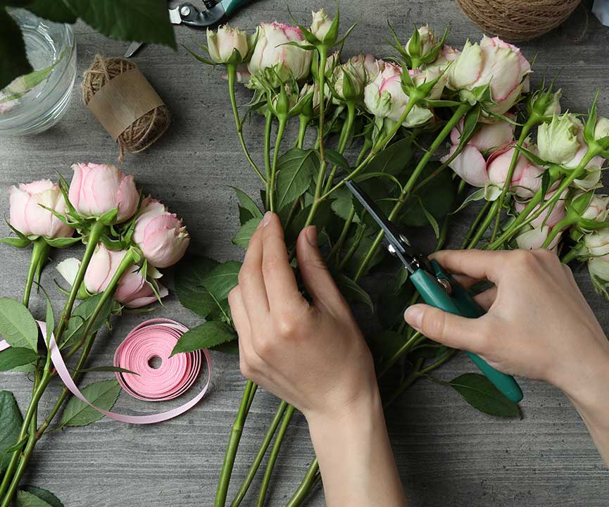 orchidee-fleuriste-pompes-funebres-haute-ariege-Tarascon-sur-Ariege-fp01