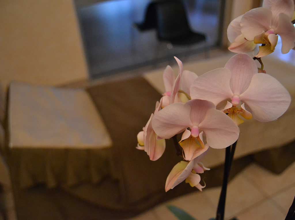 pompes-funebres-haute-ariege-obseques-Tarascon-sur-Ariege-chambre-funeraire2